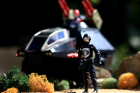 The Black Vulture